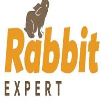 rabbitexpert