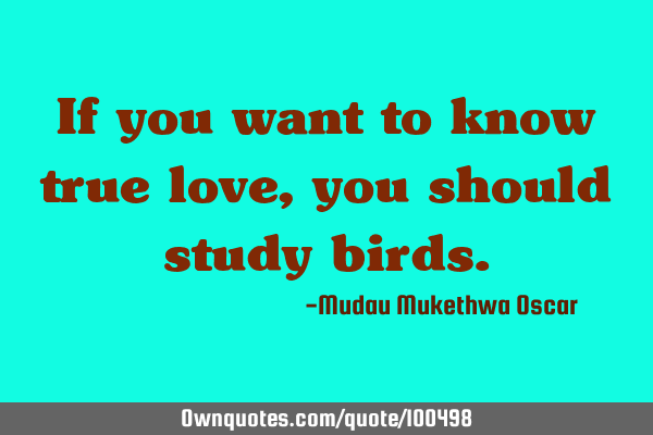 If you want to know true love, you should study