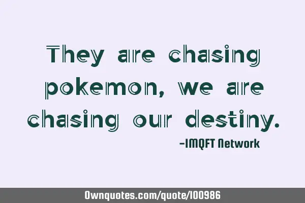 They are chasing pokemon, we are chasing our