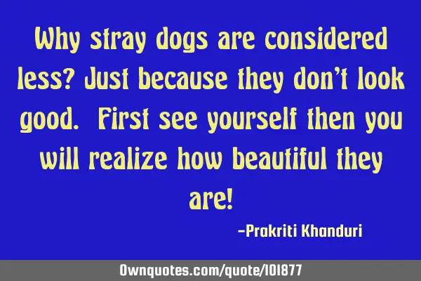 Why stray dogs are considered less? Just because they don