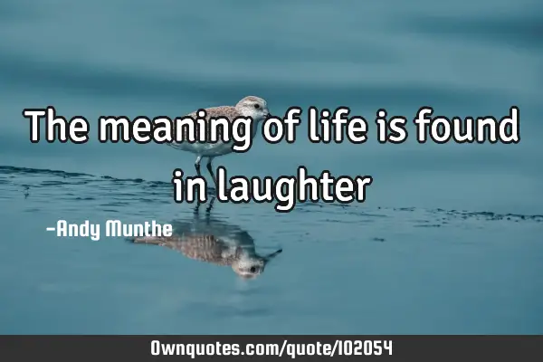 The meaning of life is found in