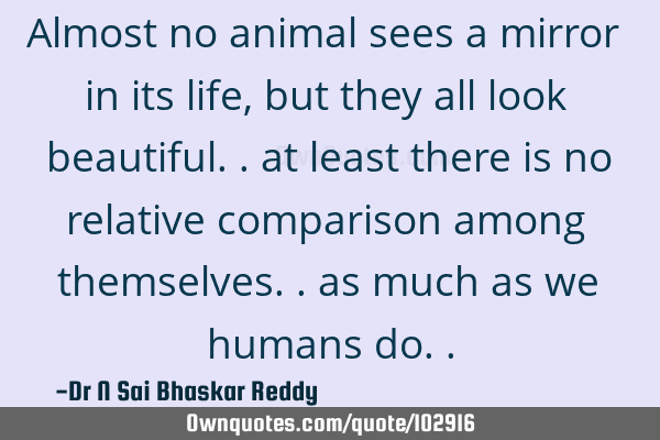 Almost no animal sees a mirror in its life, but they all look beautiful.. at least there is no