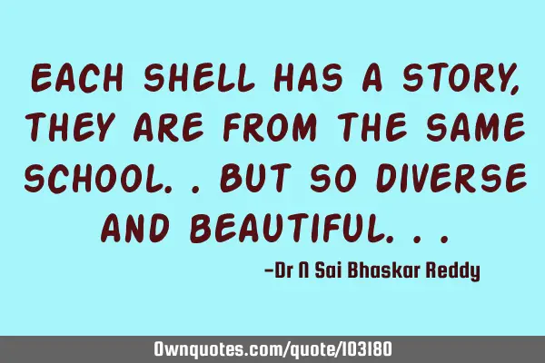 Each shell has a story, they are from the same school..but so diverse and