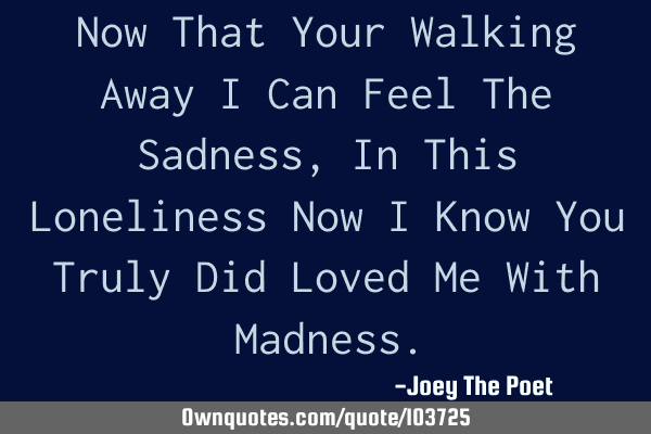 Now That Your Walking Away I Can Feel The Sadness, In This Loneliness Now I Know You Truly Did L