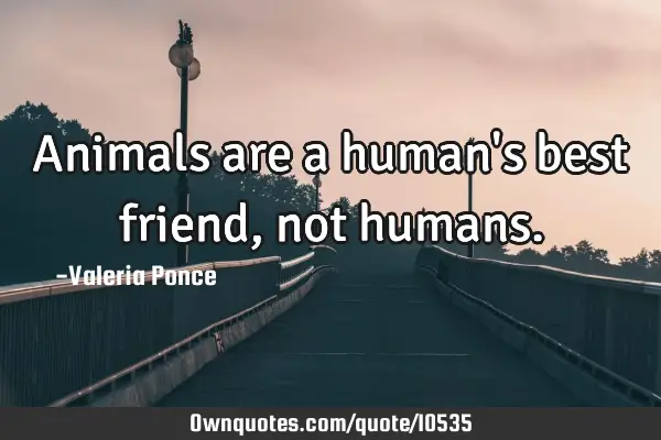 Animals are a human