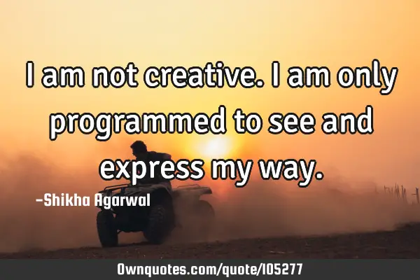 I am not creative. I am only programmed to see and express my
