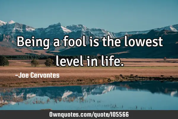 Being a fool is the lowest level in