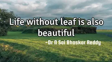 Life without leaf is also beautiful