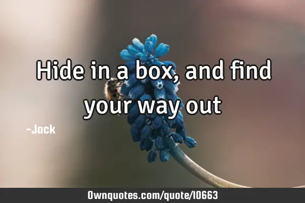Hide in a box, and find your way