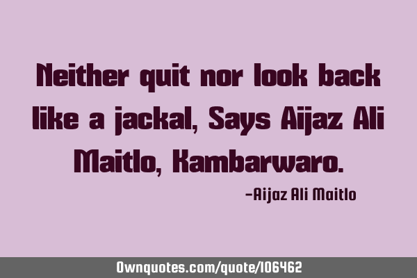 Neither quit nor look back like a jackal, Says Aijaz Ali Maitlo, K