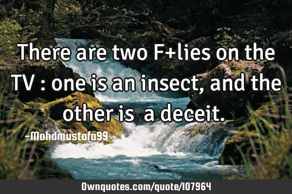 • There are two F+lies on the TV : one is an insect, and the other is ‎a deceit.‎