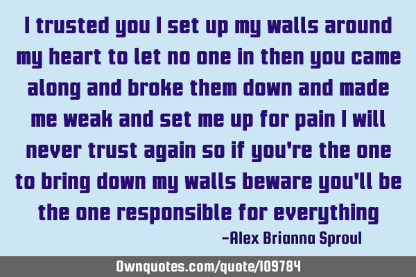 I trusted you I set up my walls around my heart to let no one in then you came along and broke them