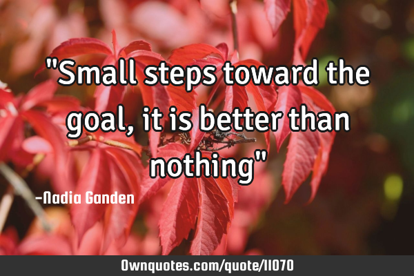 "Small steps toward the goal, it is better than nothing"