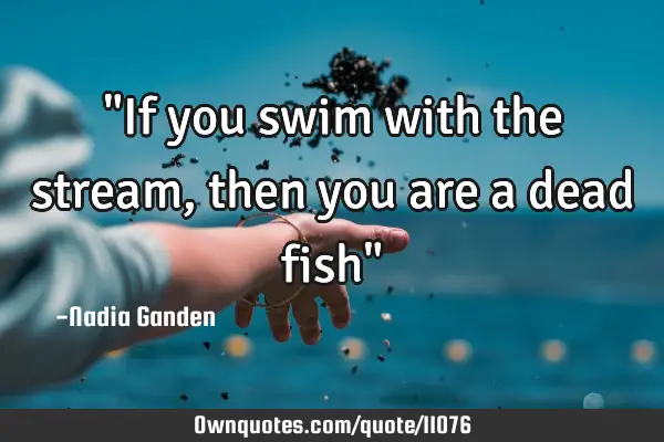 "If you swim with the stream, then you are a dead fish"