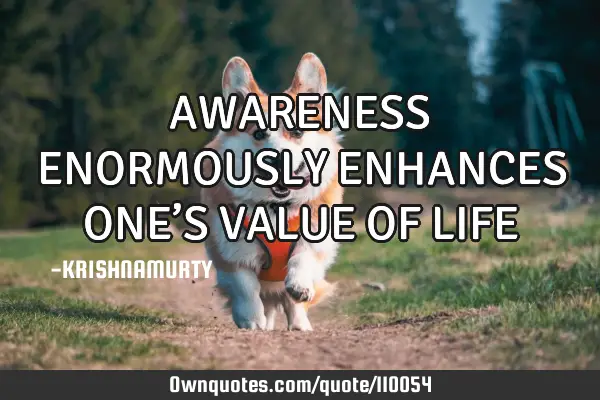 AWARENESS ENORMOUSLY ENHANCES ONE’S VALUE OF LIFE
