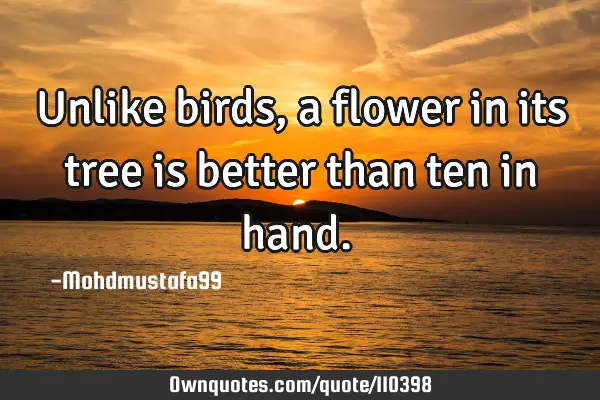 • Unlike birds, a flower in its tree is better than ten in hand.‎