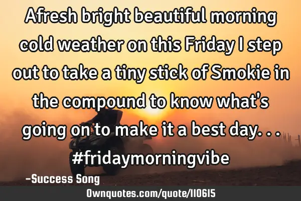 Afresh bright beautiful morning cold weather on this Friday I step out to take a tiny stick of S