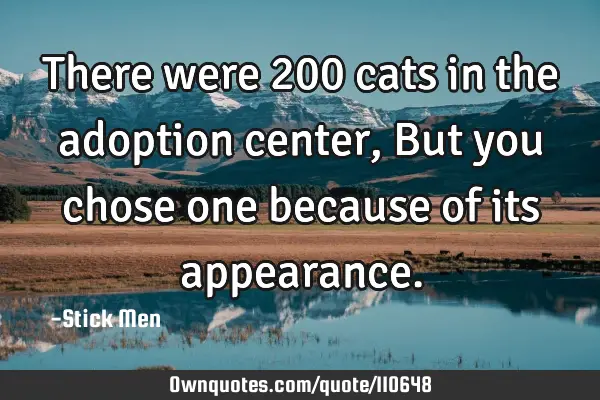 There were 200 cats in the adoption center, But you chose one because of its