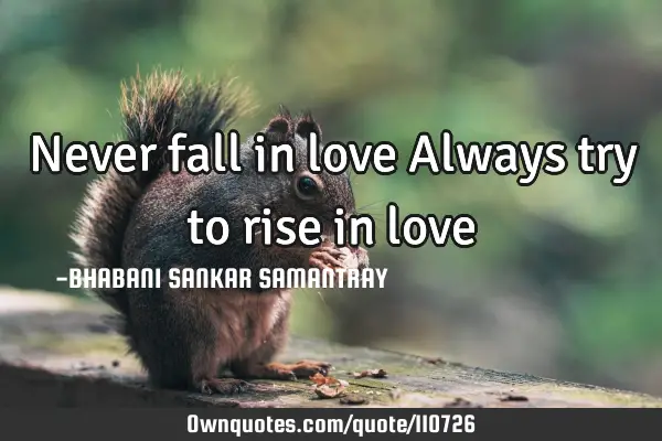 Never fall in love Always try to rise in