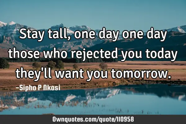 Stay tall, one day one day those who rejected you today they