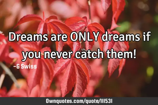 Dreams are ONLY dreams if you never catch them!