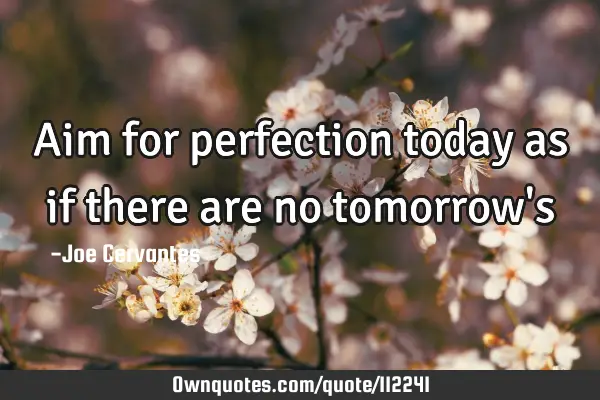 Aim for perfection today as if there are no tomorrow