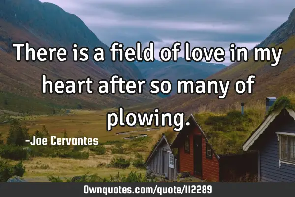 There is a field of love in my heart after so many of