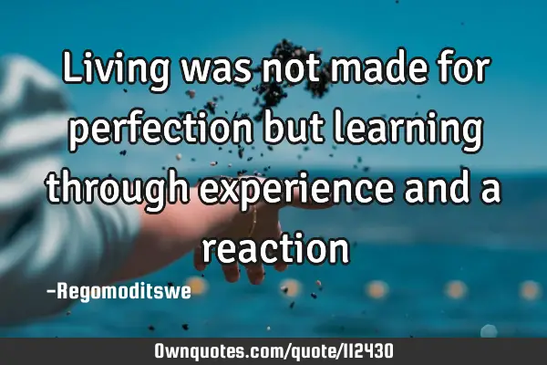 Living was not made for perfection but learning through experience and a