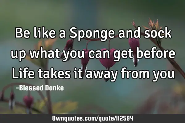 Be like a Sponge and sock up what you can get before Life takes it away from