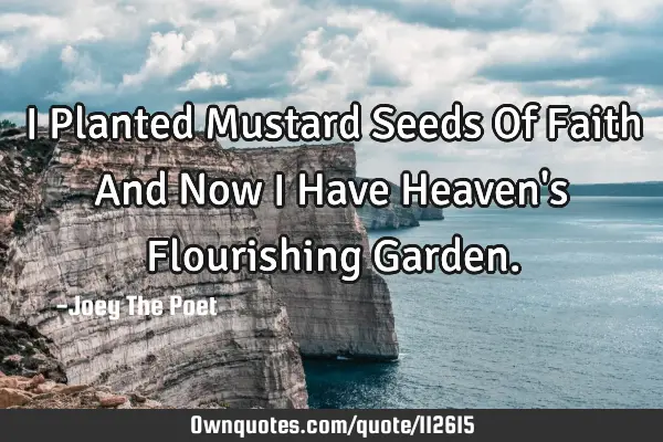I Planted Mustard Seeds Of Faith And Now I Have Heaven