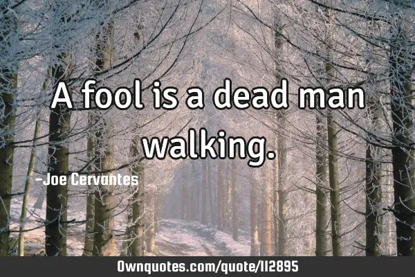 A fool is a dead man