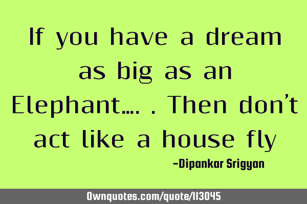 If you have a dream as big as an Elephant…..then don’t act like a house