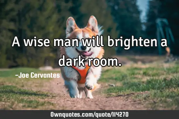 A wise man will brighten a dark
