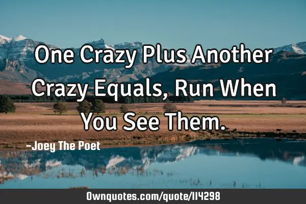One Crazy Plus Another Crazy Equals, Run When You See T