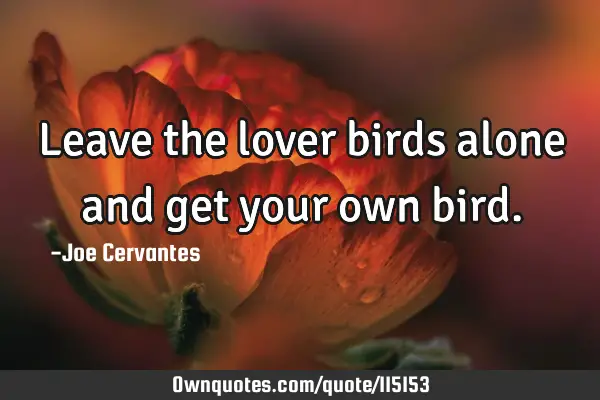 Leave the lover birds alone and get your own