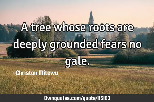 A tree whose roots are deeply grounded fears no
