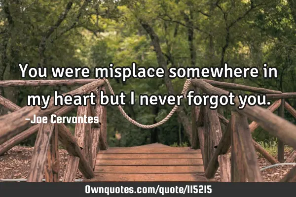 You were misplace somewhere in my heart but I never forgot