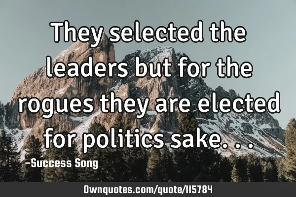 They selected the leaders but for the rogues they are elected for politics