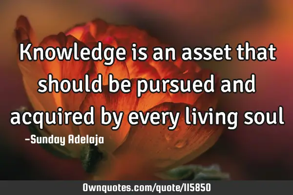 Knowledge is an asset that should be pursued and acquired by every living