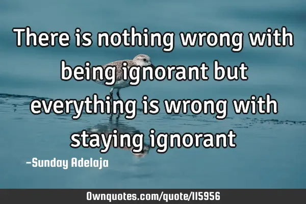 There is nothing wrong with being ignorant but everything is wrong with staying