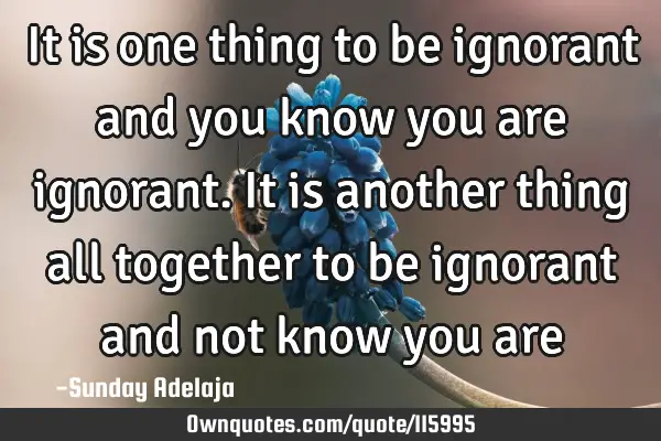 It is one thing to be ignorant and you know you are ignorant. It is another thing all together to