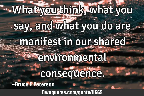 What you think, what you say, and what you do are manifest in our shared environmental