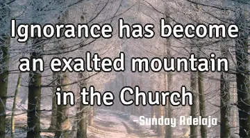 Ignorance has become an exalted mountain in the Church