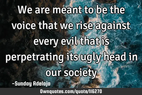 We are meant to be the voice that we rise against every evil that is perpetrating its ugly head in