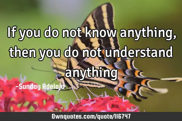 If you do not know anything, then you do not understand