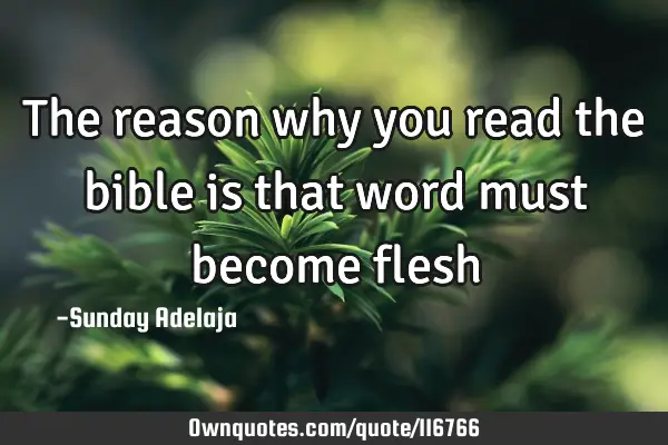 The reason why you read the bible is that word must become