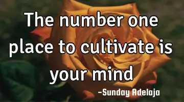 The number one place to cultivate is your mind