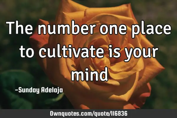 The number one place to cultivate is your