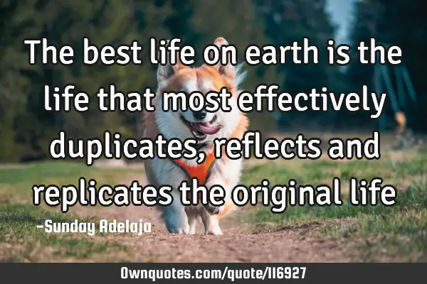 The best life on earth is the life that most effectively duplicates, reflects and replicates the