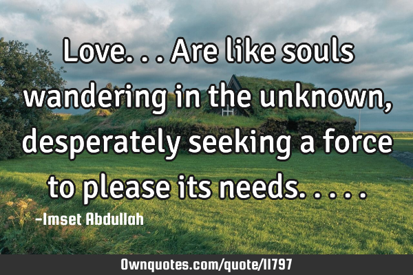 Love...are like souls wandering in the unknown , desperately seeking a force to please its